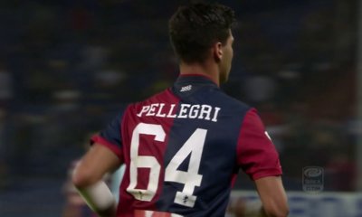 pellegri